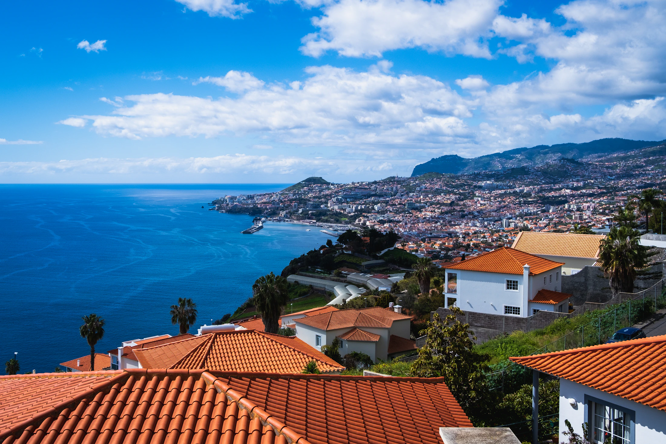 Homes overlooking Funchal bay and the city hillside, Madeira